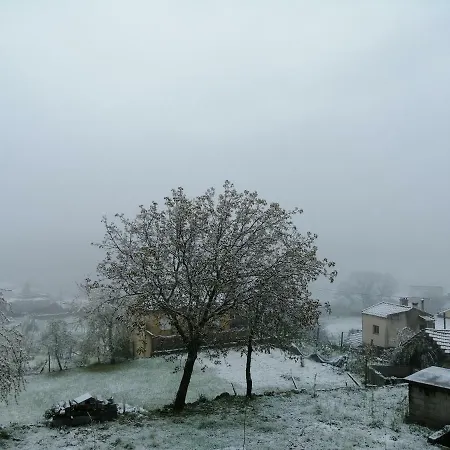 Gospodarstwo wiejskie Casa Dos Pisoeiros Montemuro/douro *
