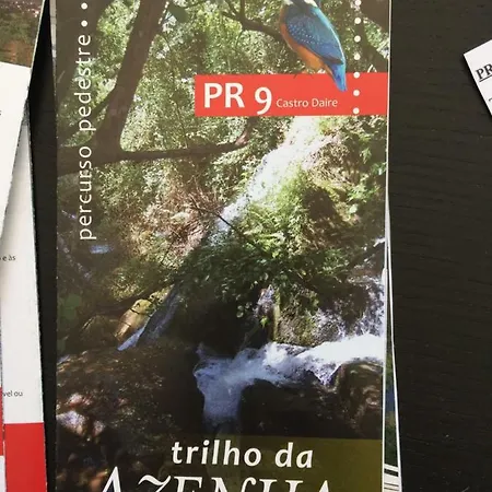 Casa Dos Pisoeiros Montemuro/douro Gospodarstwo wiejskie São Joaninho